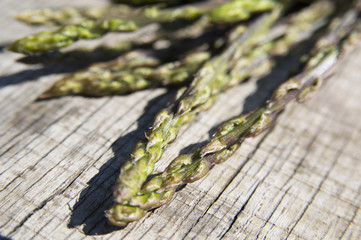 Garden asparagus (Asparagus officinalis)