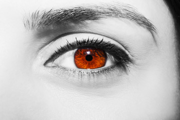 A beautiful insightful look woman's eye. Close up shot