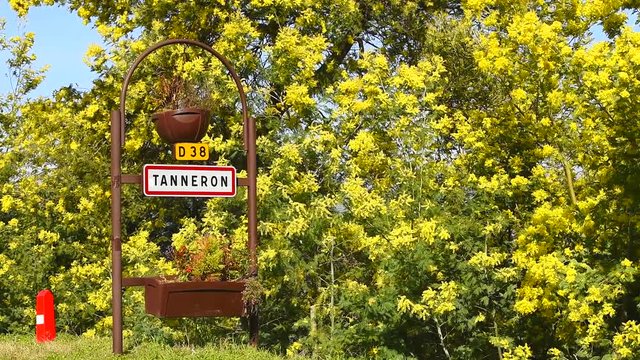 Road sign of Tanneron, small town in Provence-Alpes-C&ocirc;te d'Azur, France. Part of Road of mimosa.