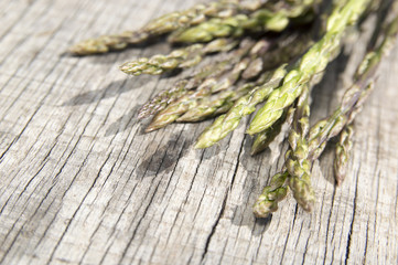 Garden asparagus (Asparagus officinalis)