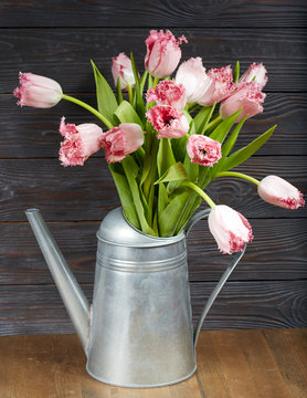 Beautiful bouquet  of pink tulip flowers in watering can