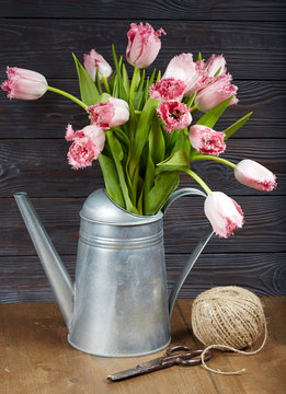 Beautiful bouquet  of pink tulip flowers in watering can