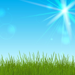 Fototapeta na wymiar Vector card with spring grass and blue sky