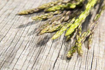 Garden asparagus (Asparagus officinalis)