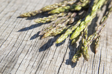 Garden asparagus (Asparagus officinalis)