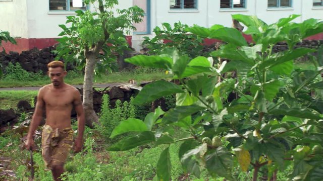 Samoan man carrying machete through garden and into thatched hut