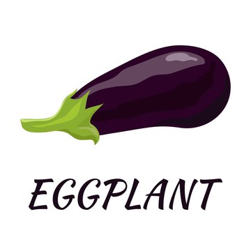 Eggplant. Flat design. Vector illustration. Ripe vegetable for Your ideas.