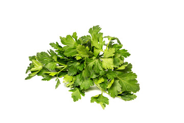 Bunch of fresh green curly parsley. Isolated on white background