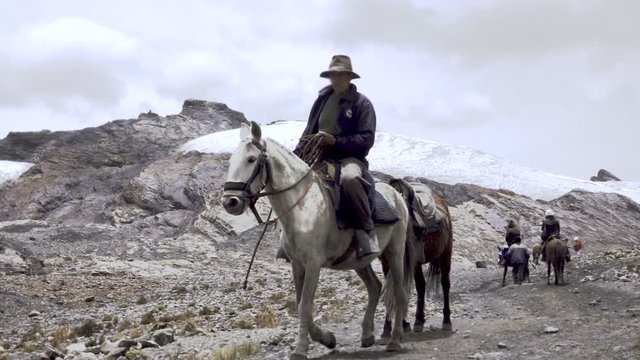 Muleteers riding mules on a countryside trail of the trekking Santa cruz, Peru