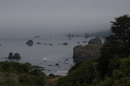 Foggy coast
