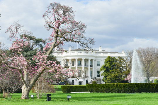 The White House in springtime - Washington DC United States