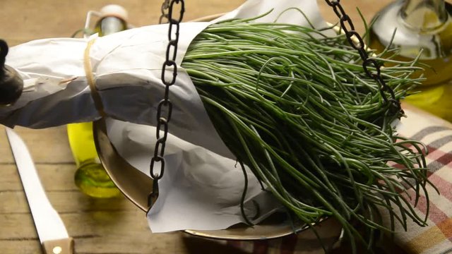 Salsola soda Salicorn fi Barba di frate  barilla plant  Barba Săricică del Negus &Alpha;&lambda;&mu;ύ&rho;&alpha; گیاه Agretti شور Soude commune 苏打猪毛菜 Barrella Salsola de Sevilla