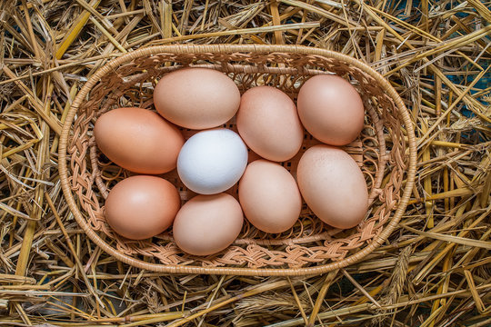 Eggs in wicker basket on table close-up.
