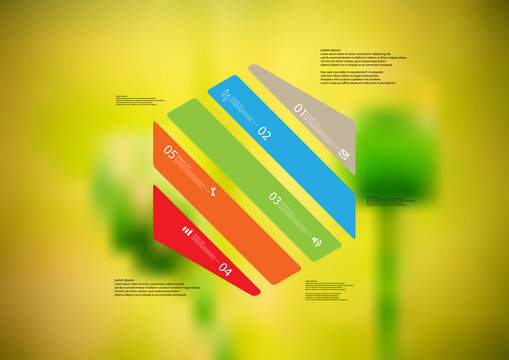 Illustration infographic template with hexagon askew divided to five color parts
