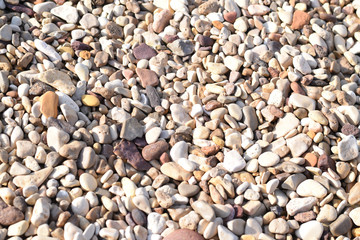 rocks on the beach