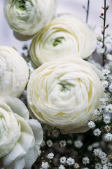 Peony flowers. Design for a holiday card
