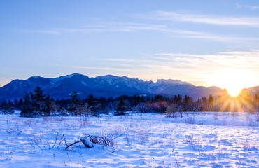 european alps
