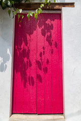 Beautifully painted pink door with ivy in the Getsemani neigborhood of Cartagena, Colombia.