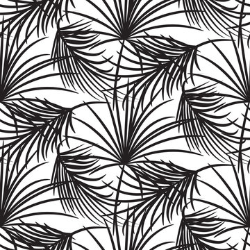 Silhouette black palm leaves seamless vector pattern on white background. Rainforest jungle nature leaf.