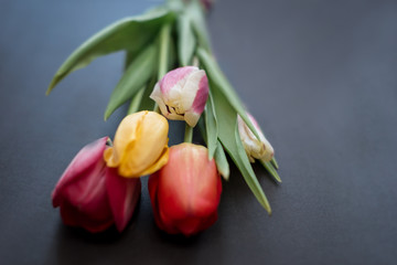 Fototapeta premium Bouquet of tulips on a black background. Spring background. The image is isolated. Selective focus. With love.