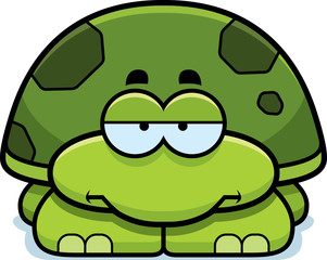 Bored Little Turtle