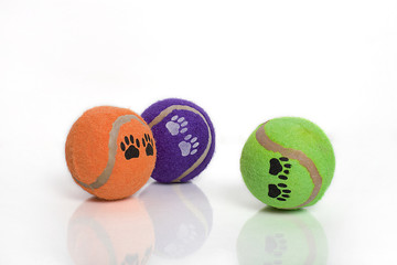 Dog toys: colorful tennis balls with paw prints isolated on white background.