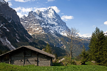 Fototapeta na wymiar Eiger mountain, rigid and stalwart above Grindelwald valley