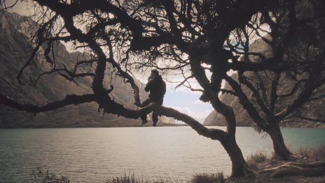 Man sit on a tree contemplating the lake Llanganuco on the peruvian valleys