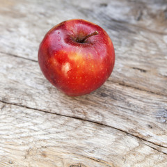 pomme au soleil