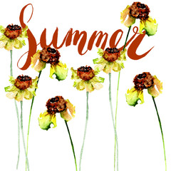 Original floral background with flowers and title Summer