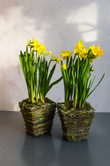 Beautiful floral decorations