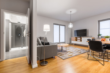 Interior of modern flat