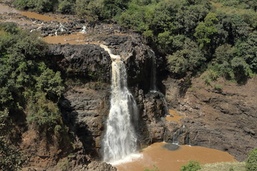 Fototapeta premium Der Nil Wasserfall Tisissat in Äthiopien 