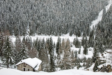 baita di montagnanel bosco in inverno