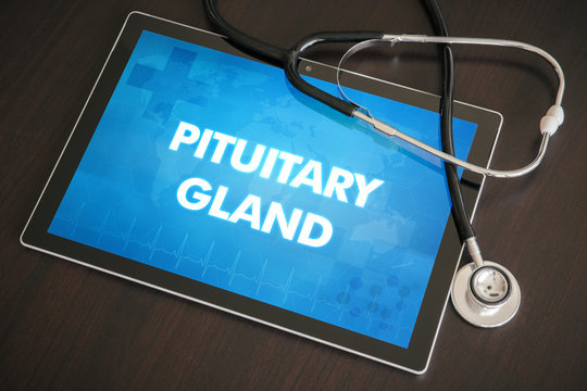 Pituitary gland (endocrine disease related) diagnosis medical concept on tablet screen with stethoscope