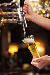 Bartender pouring the fresh beer in pub,barman hand at beer tap pouring a draught lager beer,beer from the tap,Filling glass with beer,fresh beer,pub.Bar.Restaurant.European bar.American bar.