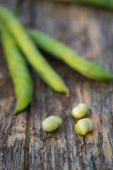 Fava beans