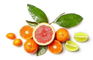 Fototapeta na wymiar various citrus fruits