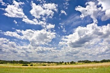 Landscape with clouds trees meadow.
Pleasant sunny summer day.