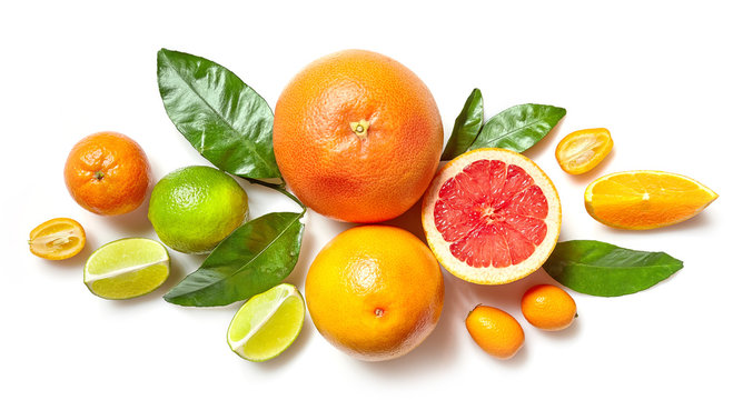 various citrus fruits on white background © Mara Zemgaliete