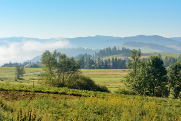 Naklejka premium Misty morning rural landscape of a fields in summer. Pieniny mountains. Poland.