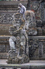 Macaque in the Hindu temple in Monkey Forest, Ubud, Bali