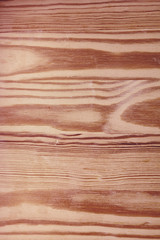 wood pine veneer texture