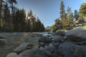 Sierra Evening Light - The sun sets through the trees along a river on the Pacific Crest Trail in the Sierra Nevada.