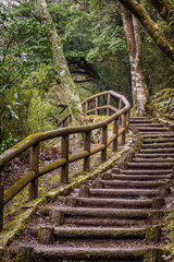 Japanese Park - trail and wooden steps