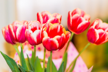 Still life with tulips on the wooden background