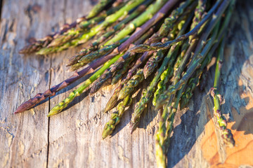 Wild asparagus