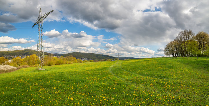 Strommast und bl&uuml;hender L&ouml;wenzahn auf einer gr&uuml;nen Wiese