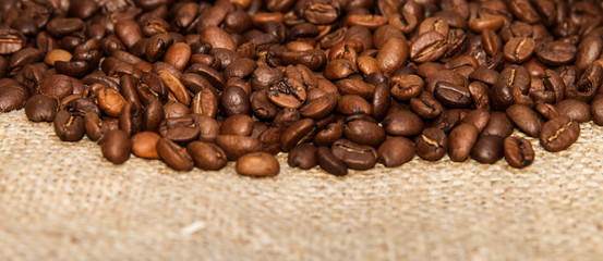 Roasted Coffee Beans