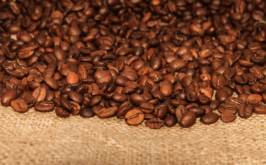 Roasted Coffee Beans